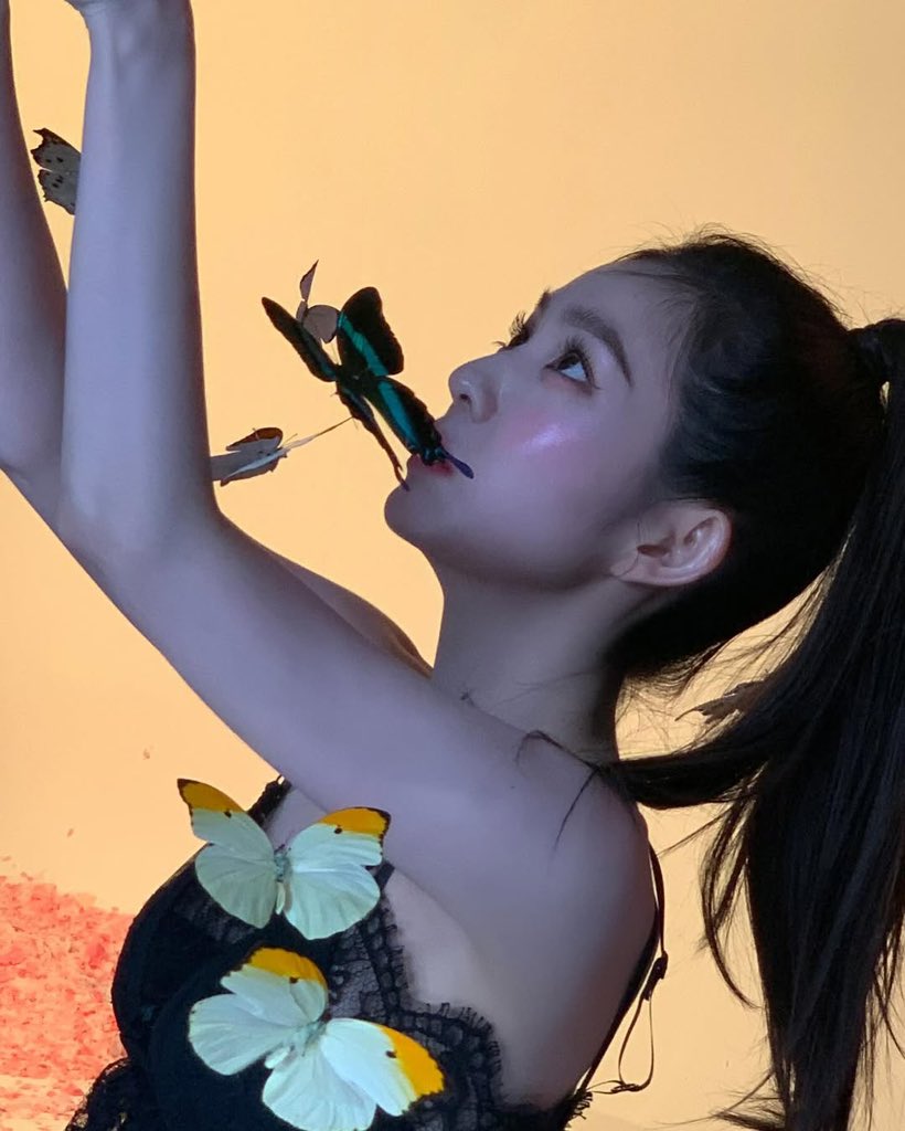 아이린-인스타그램-업뎃-0-이미지