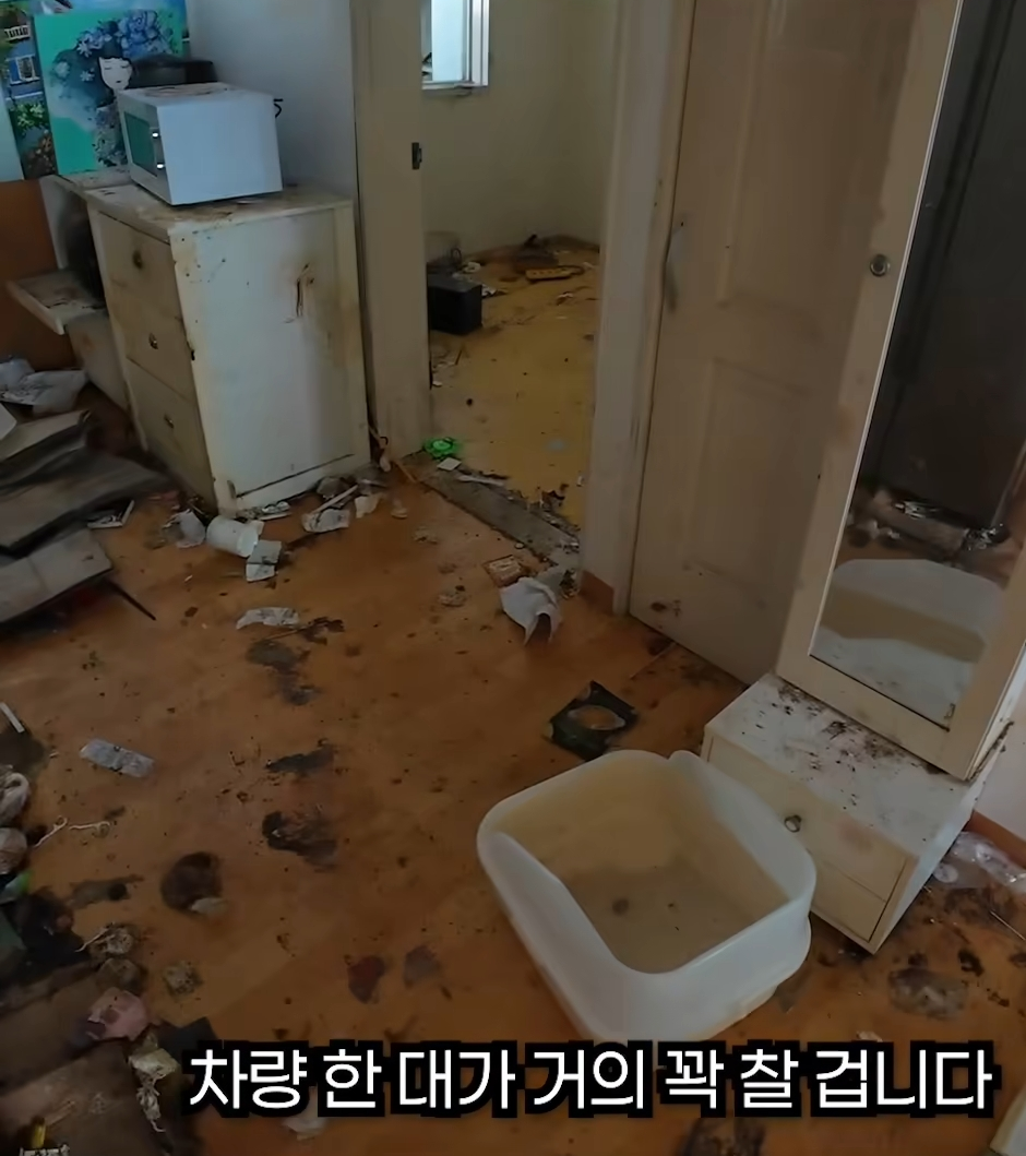 사람-12명이-1박-2일동안-사다리차-9시간-쓰면서-쓰레기-12톤-넘게-뺐는데-6-이미지