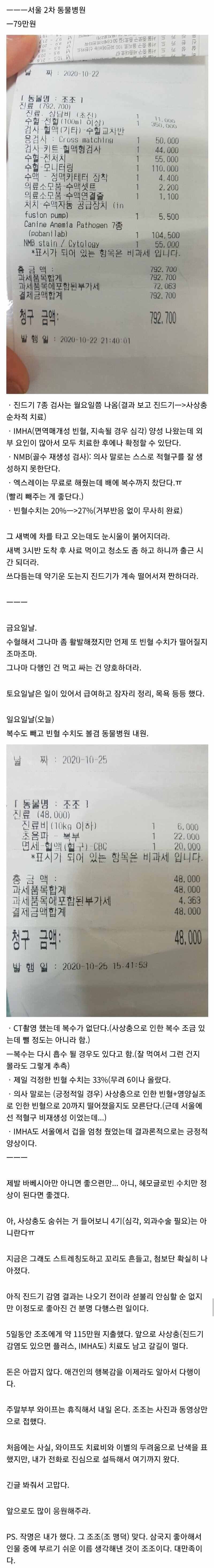 유기견-치료에-150만원을-쓴-디시인.jpg-1-이미지