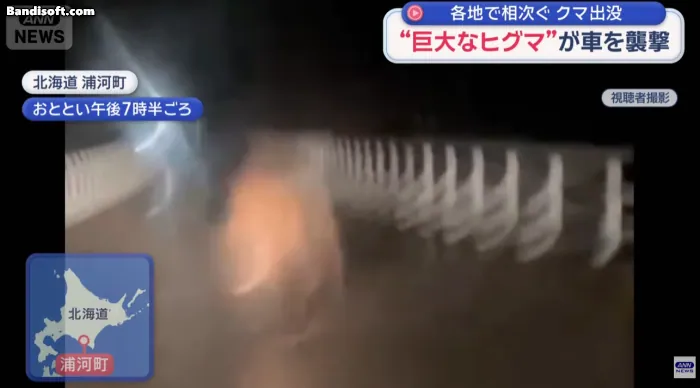 일본-곰사냥꾼-1회-출동시-받는-돈-2-이미지