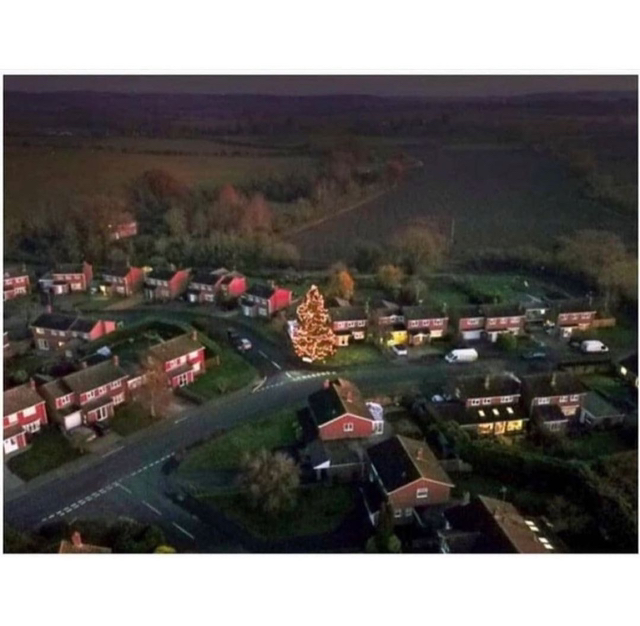 43년동안-키운-크리스마스-트리.jpg-2-이미지