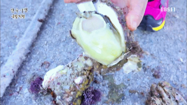 오늘도-아침식사는-라면으로-떼우시는-할머니들.....-2-이미지