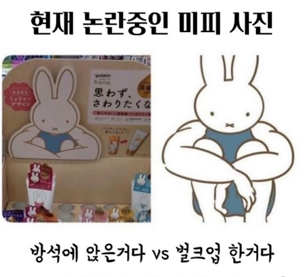 논란이-된-미피-사진-0-이미지