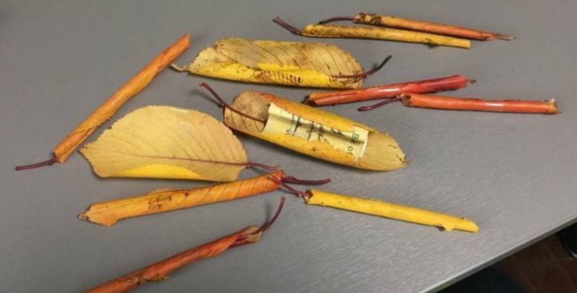 아빠의-빼빼로데이-선물.jpg-4-이미지