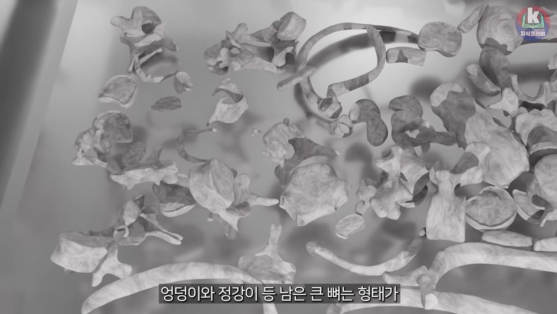 시체-화장-과정-알아보기(그림이지만-뼈-나옴)-31-이미지