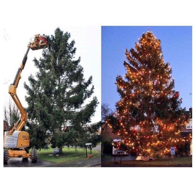 43년동안-키운-크리스마스-트리.jpg-1-이미지