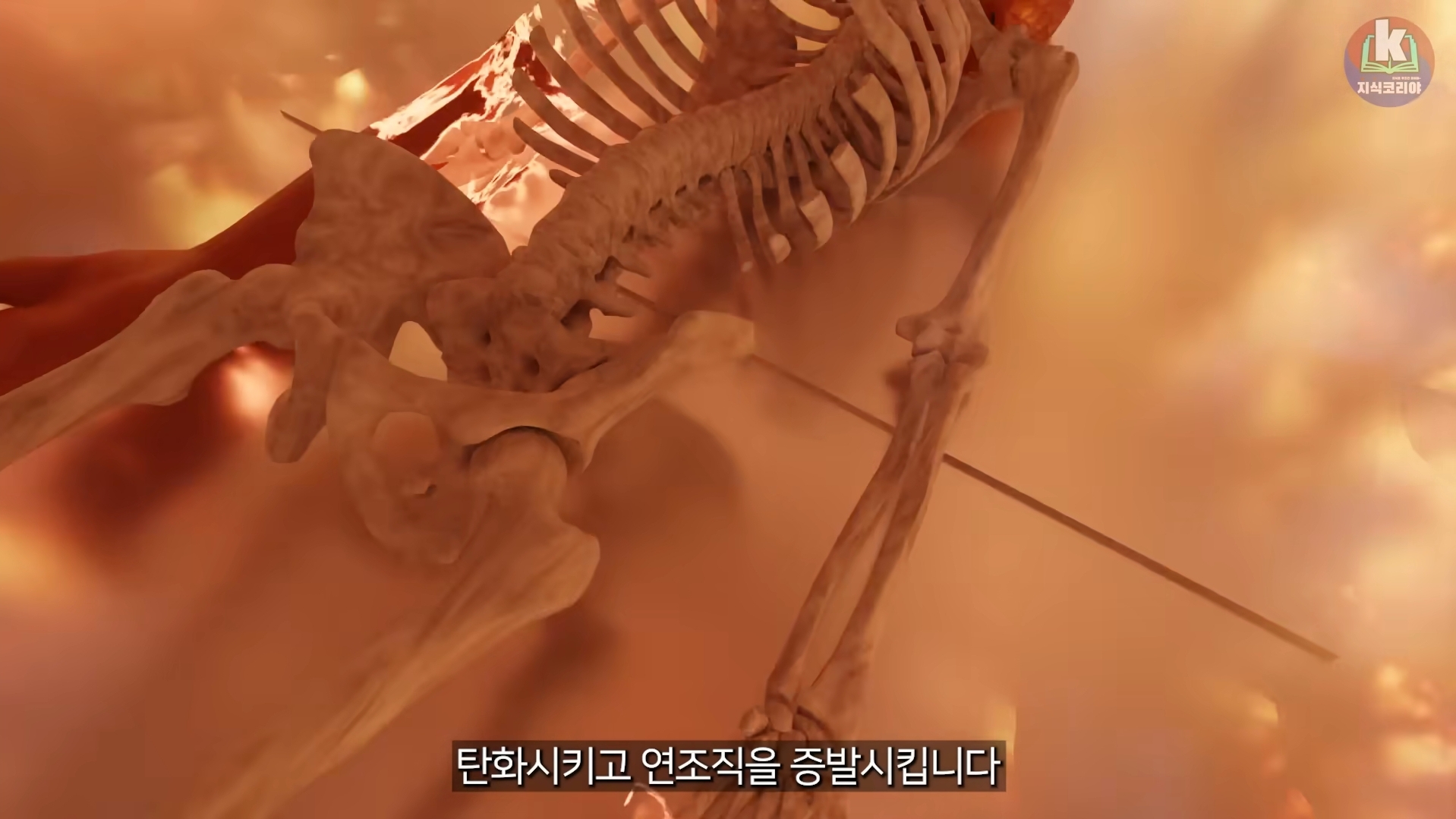 시체-화장-과정-알아보기(그림이지만-뼈-나옴)-14-이미지