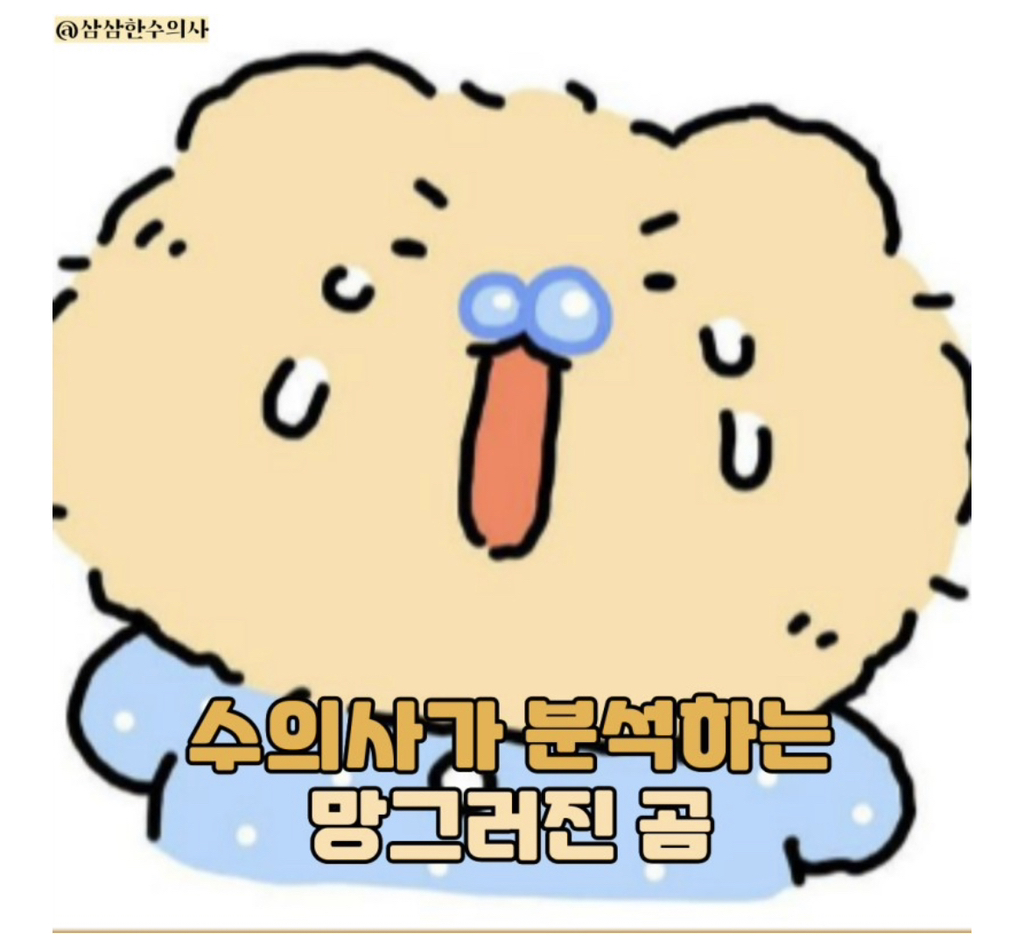 수의사가-분석하는-망그러진-곰-0-이미지