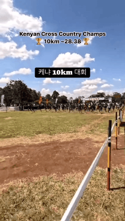 케냐-10km-러닝-대회-속도-수준-0-이미지
