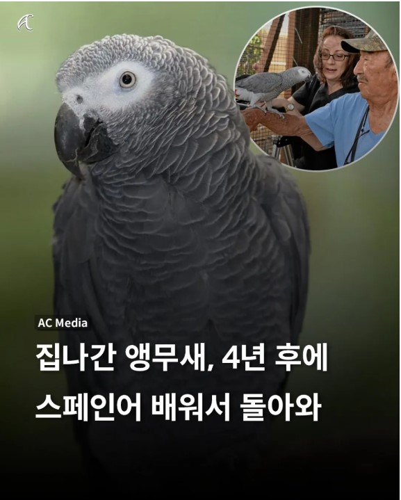 의외로-어학연수-가능함;-1-이미지