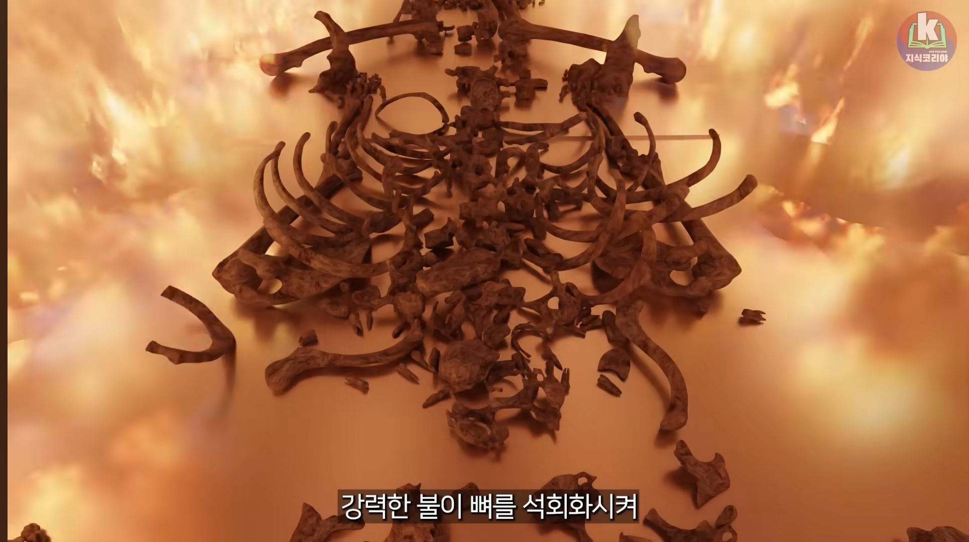 시체-화장-과정-알아보기(그림이지만-뼈-나옴)-23-이미지