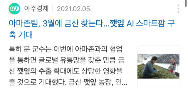 외국사람들이-깻잎향이-엄청-쎄다고-그러던데..-17-이미지