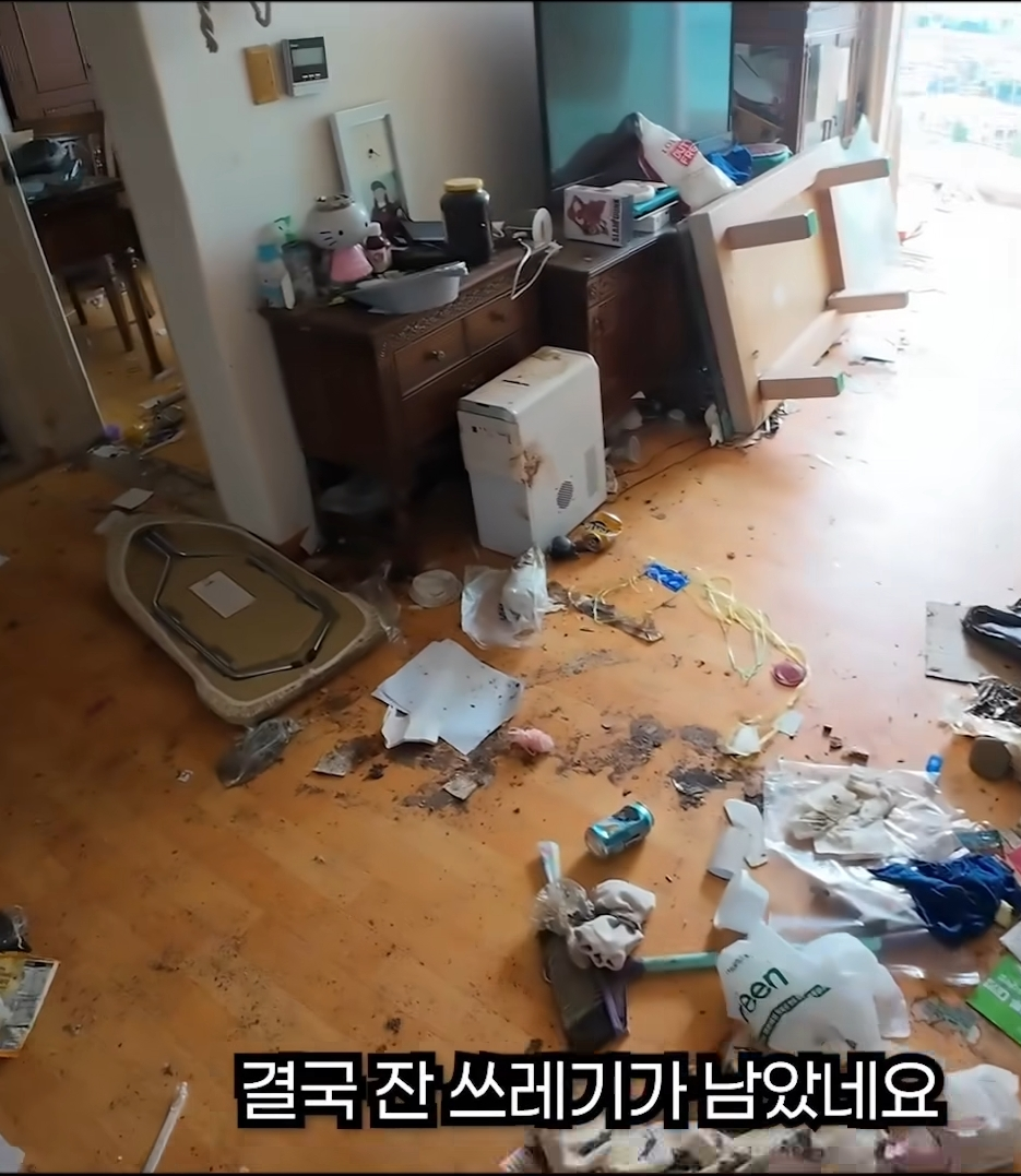 사람-12명이-1박-2일동안-사다리차-9시간-쓰면서-쓰레기-12톤-넘게-뺐는데-7-이미지