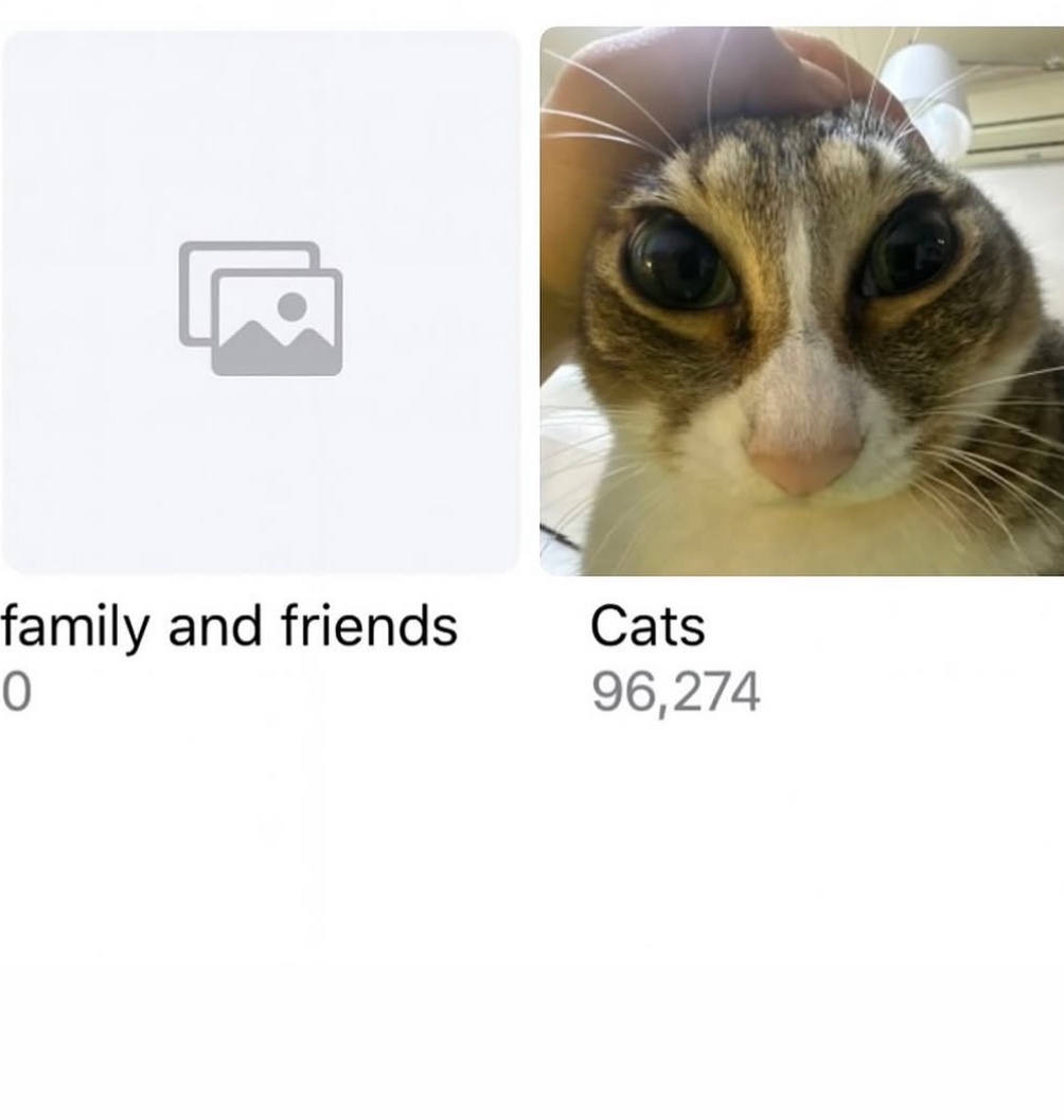 고양이-키우는-사람들-특징-0-이미지