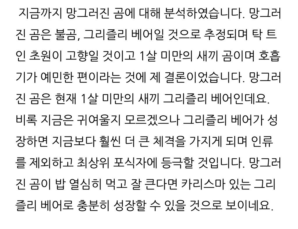 수의사가-분석하는-망그러진-곰-7-이미지