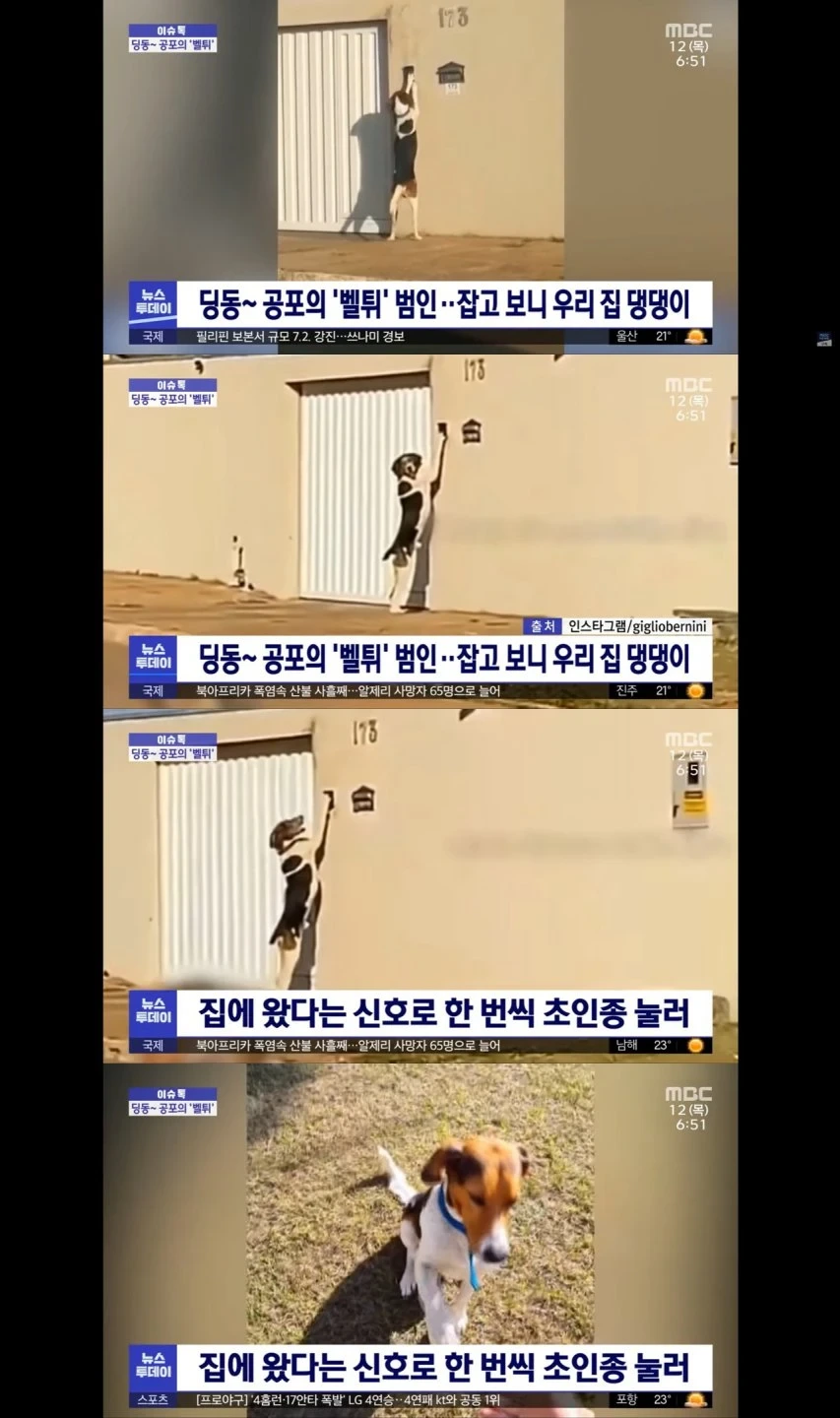 벨튀-범인,-드디어-검거-1-이미지