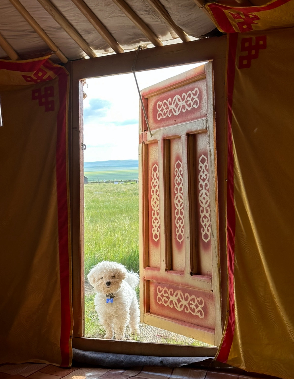 몽골-여행-장점.jpg-2-이미지