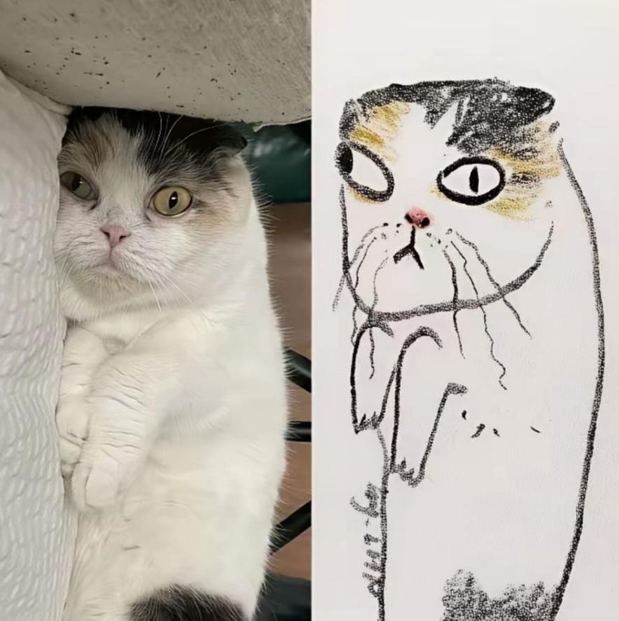 그림이랑-똑같은-고양이-0-이미지