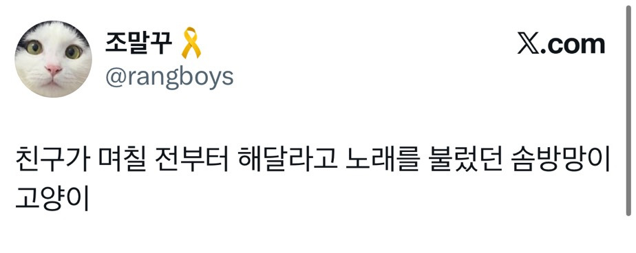 솜방망이-고양이-0-이미지