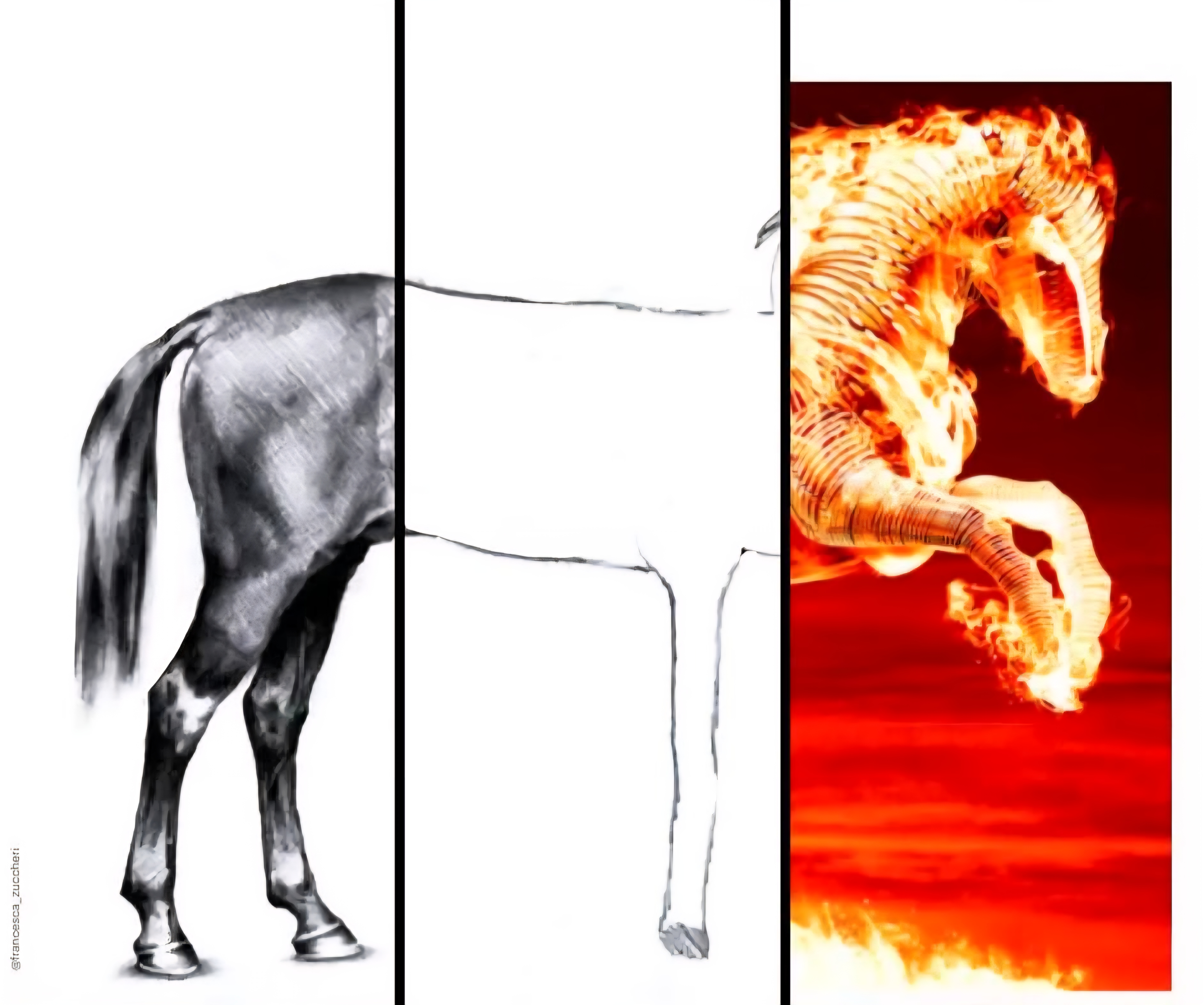 티원-시즌-특징-0-이미지