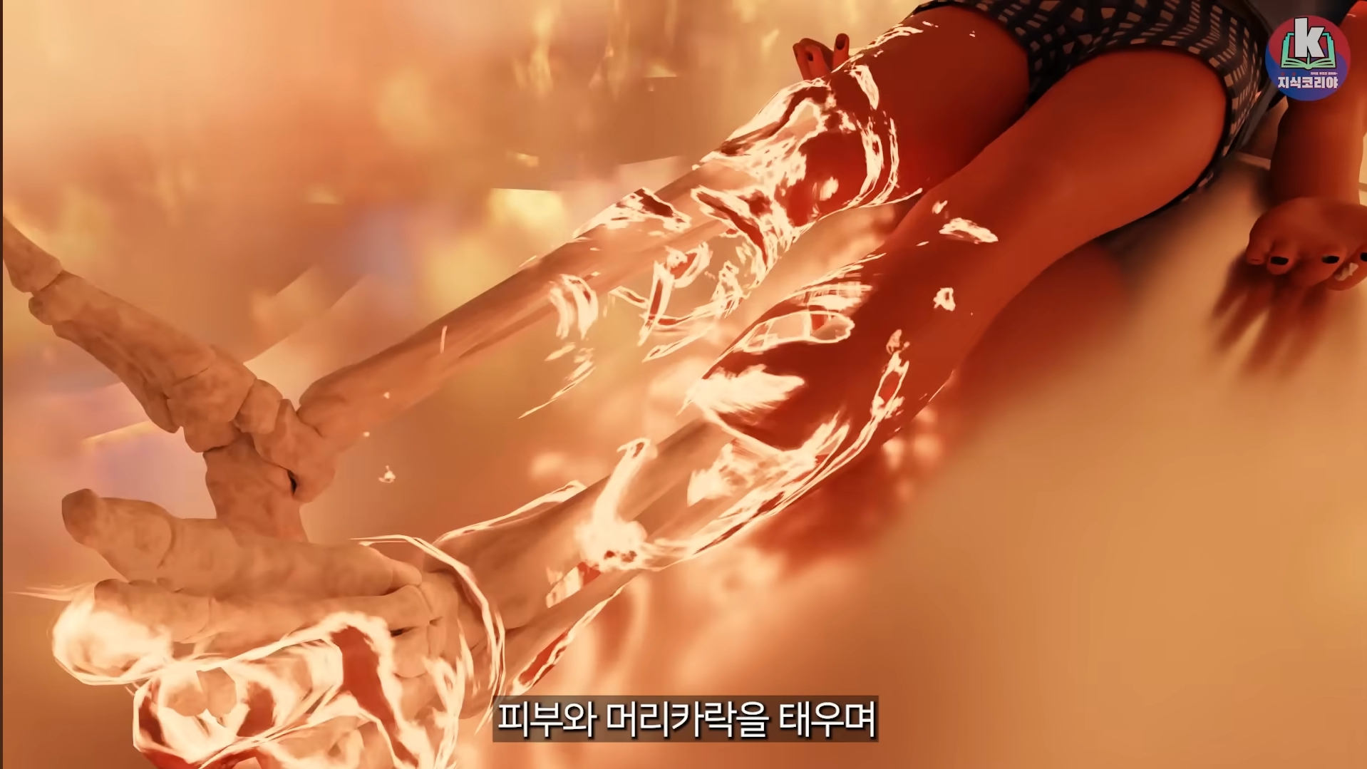 시체-화장-과정-알아보기(그림이지만-뼈-나옴)-12-이미지