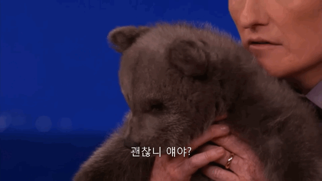 아기-불곰🐻.gif-0-이미지