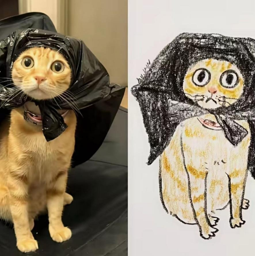 그림이랑-똑같은-고양이-7-이미지