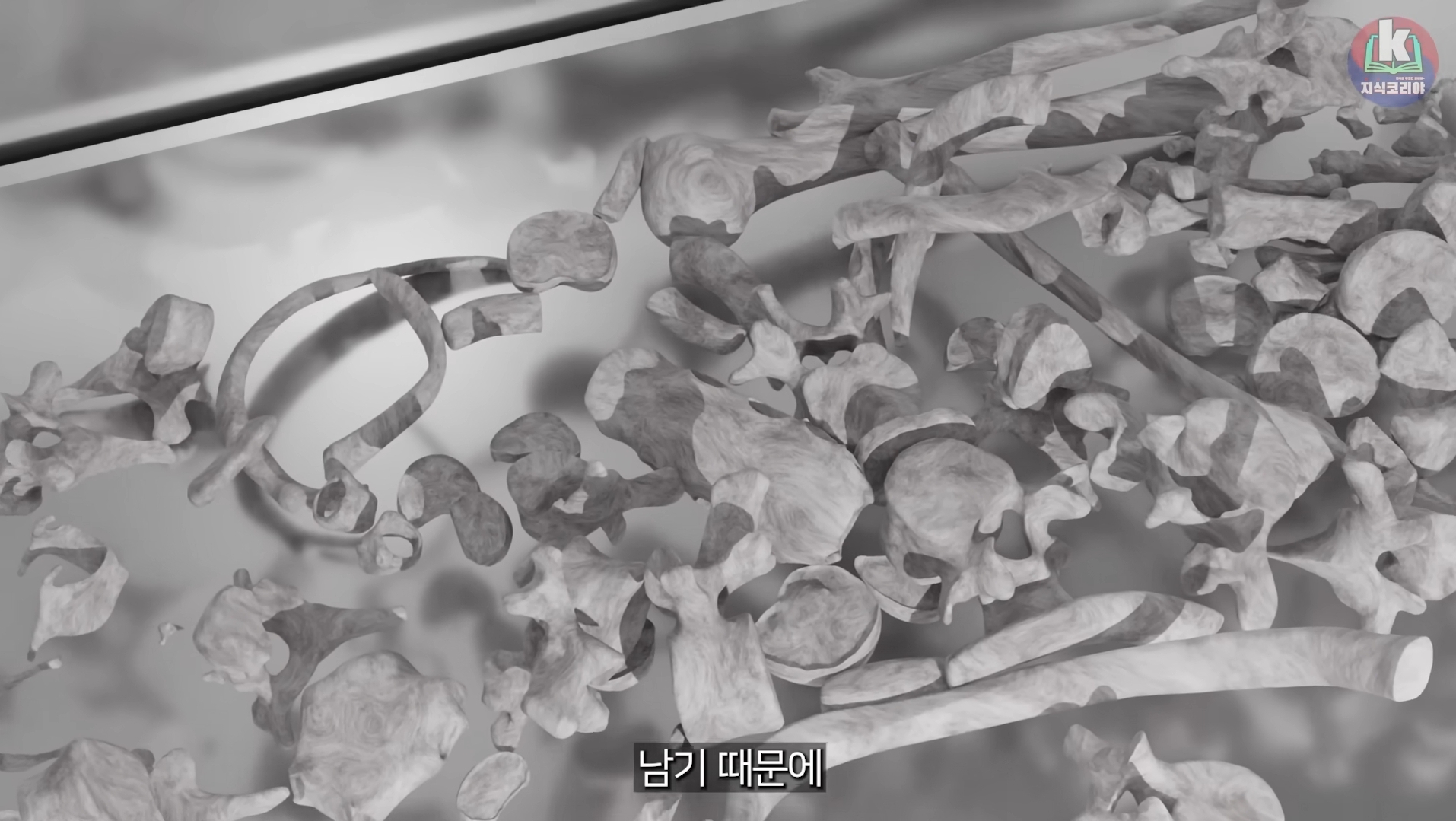 시체-화장-과정-알아보기(그림이지만-뼈-나옴)-32-이미지