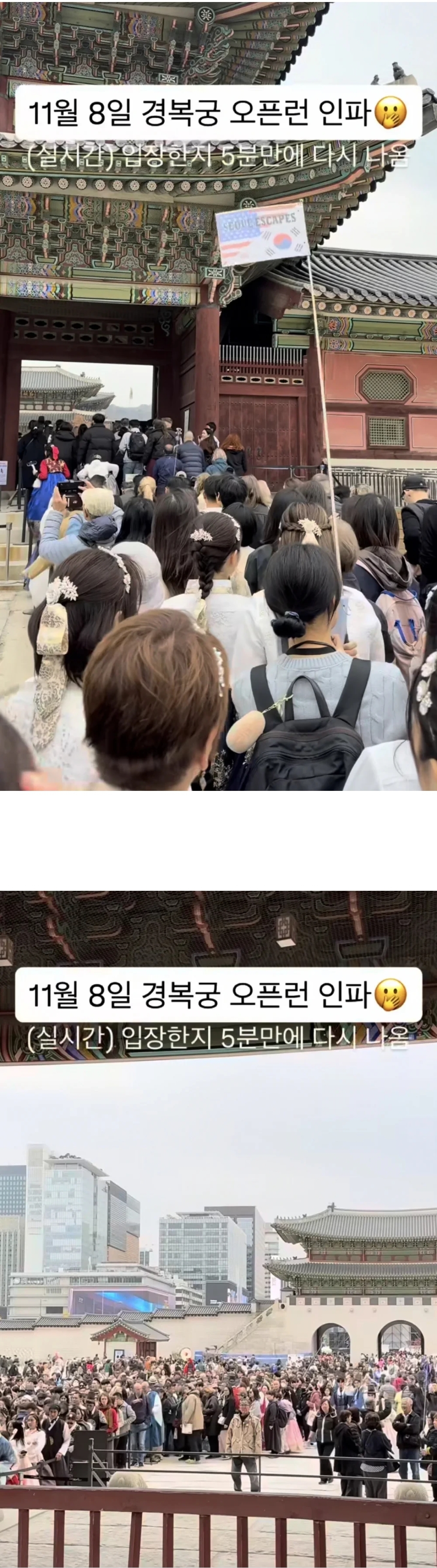 11월-8일-경복궁-인파-1-이미지