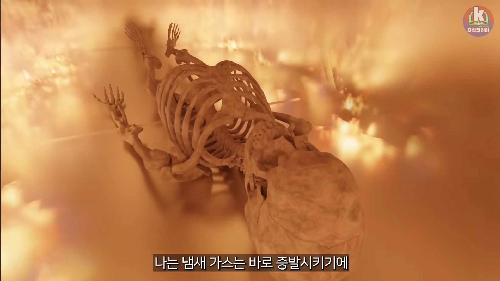 시체-화장-과정-알아보기(그림이지만-뼈-나옴)-18-이미지