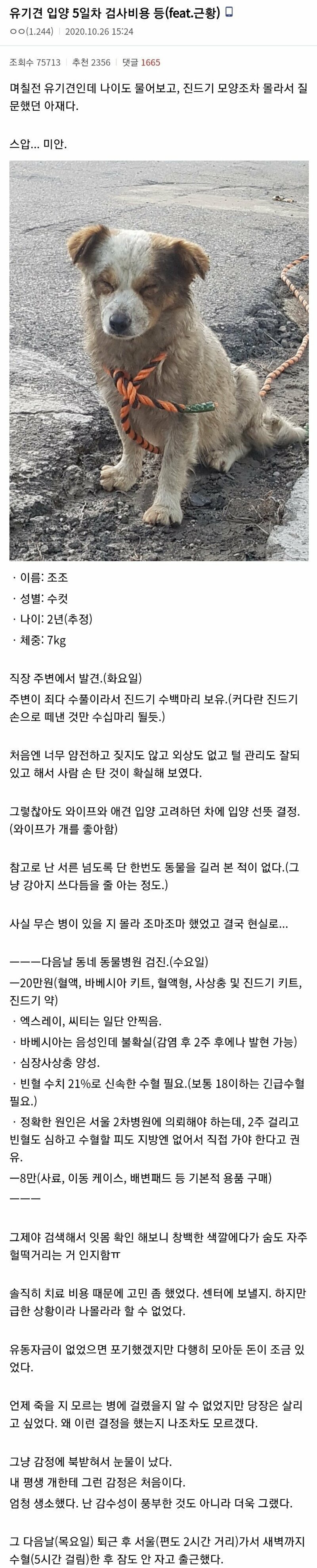 유기견-치료에-150만원을-쓴-디시인.jpg-0-이미지