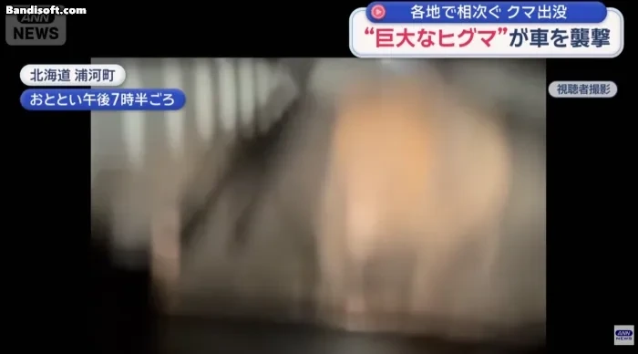 일본-곰사냥꾼-1회-출동시-받는-돈-1-이미지