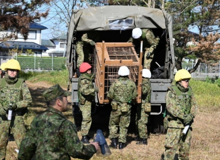 하루에-30마리가-넘는-곰을-사살하고-있는-일본-상황-1-이미지