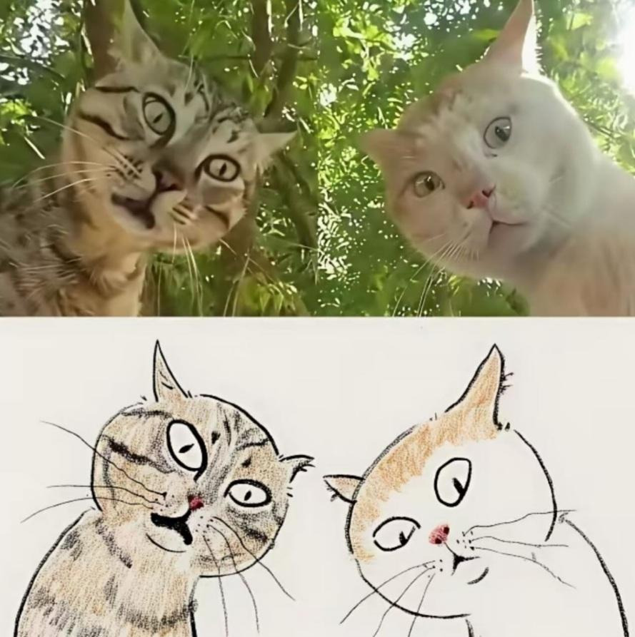 그림이랑-똑같은-고양이-4-이미지