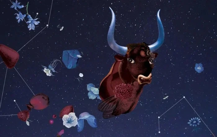 ＜수잔-밀러＞-11월-둘째-주-별자리-운세-2-이미지