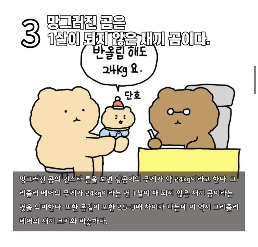 수의사가-분석하는-망그러진-곰-4-이미지