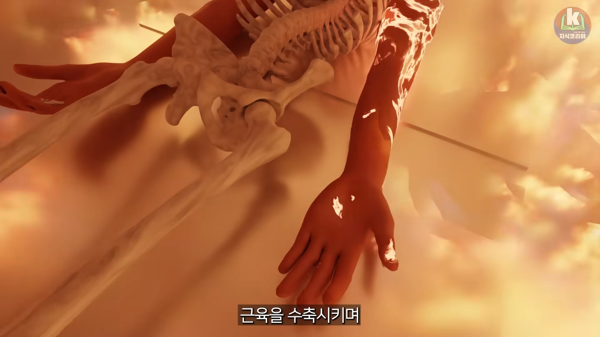 시체-화장-과정-알아보기(그림이지만-뼈-나옴)-13-이미지