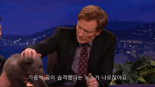 아기-불곰🐻.gif-4-이미지