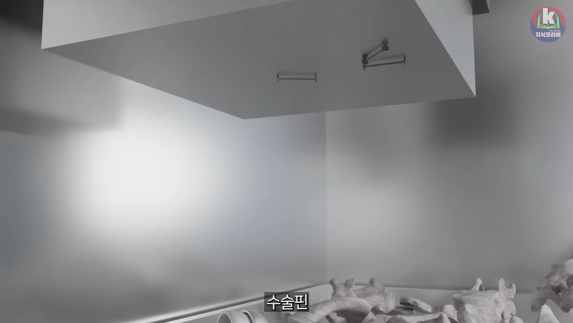 시체-화장-과정-알아보기(그림이지만-뼈-나옴)-40-이미지