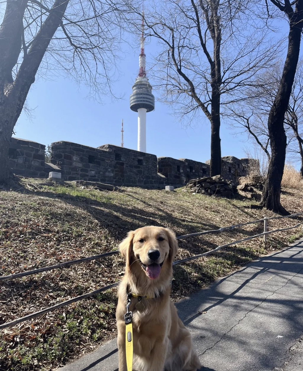 울강쥐-등산천재야-(+-산-추가!)-10-이미지