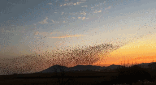 좋은-일을-해서-축복-받은-듯한-도시.jpg-11-이미지