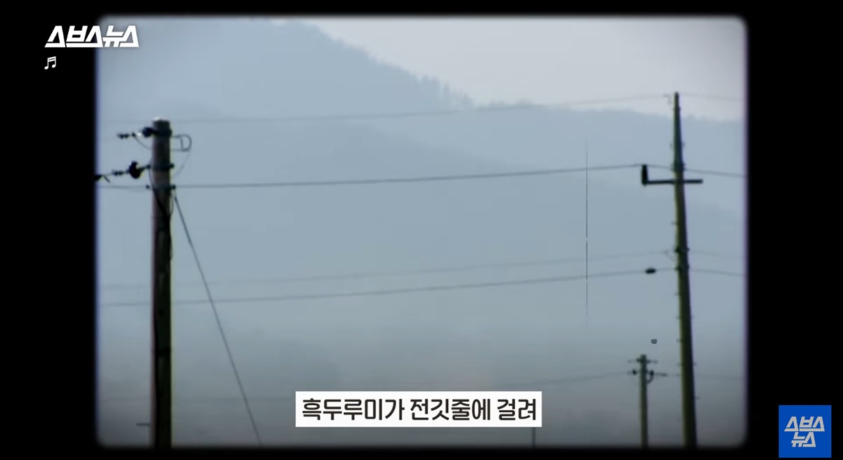 좋은-일을-해서-축복-받은-듯한-도시.jpg-2-이미지