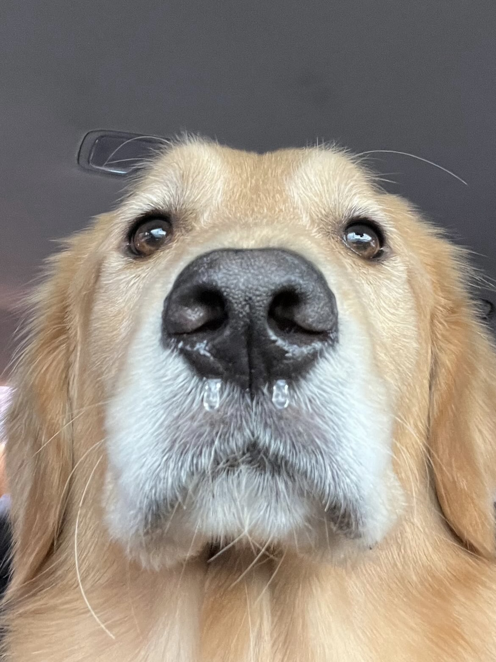 울강쥐-등산천재야-(+-산-추가!)-32-이미지