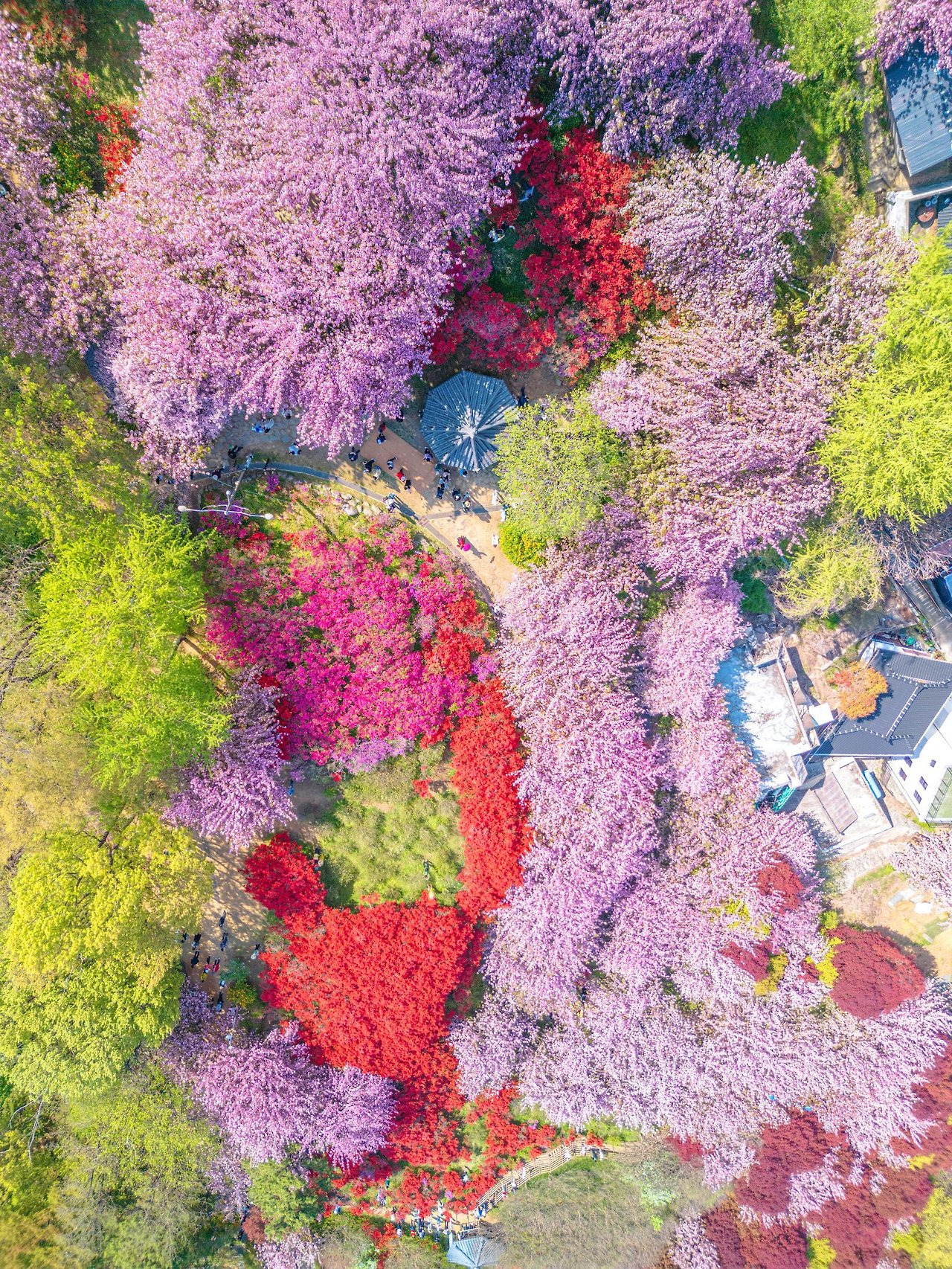 이-계정-운영자님은-진짜-직업-잘-고르신-거-같음-한국에-이런-데가-있다고-짤을-주머니에서-마구-꺼냄-28-이미지