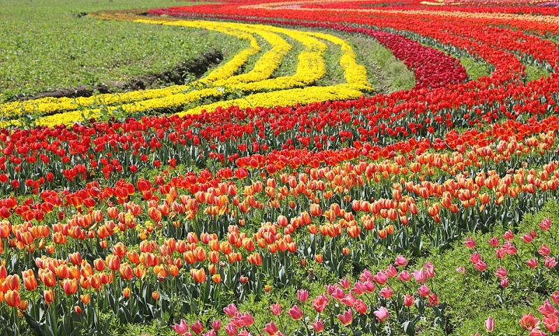 좋은-일을-해서-축복-받은-듯한-도시.jpg-20-이미지