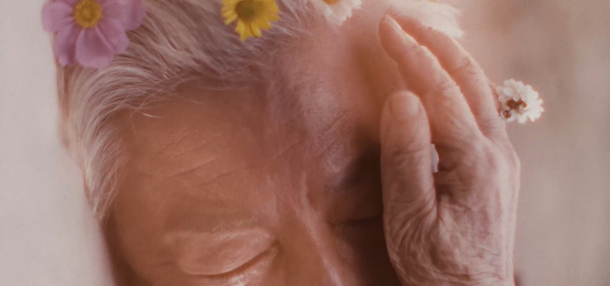 해석까지-보면-ㄹㅇ-더-오열하게-된다는-뮤비-8-이미지