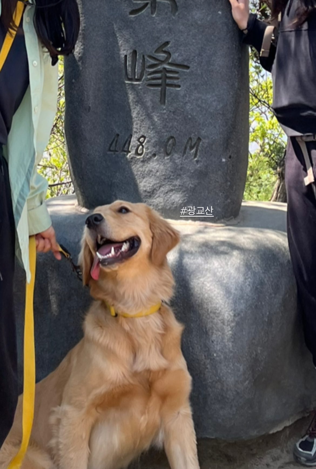 울강쥐-등산천재야-(+-산-추가!)-9-이미지