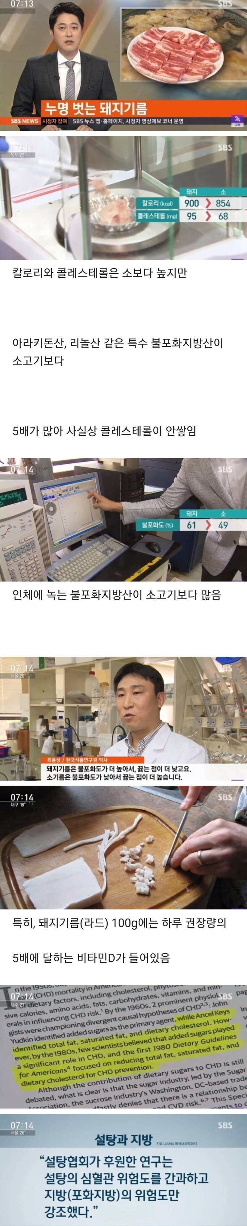 드디어-누명에서-벗어난-돼지고기ㄷㄷ.jpg-0-이미지