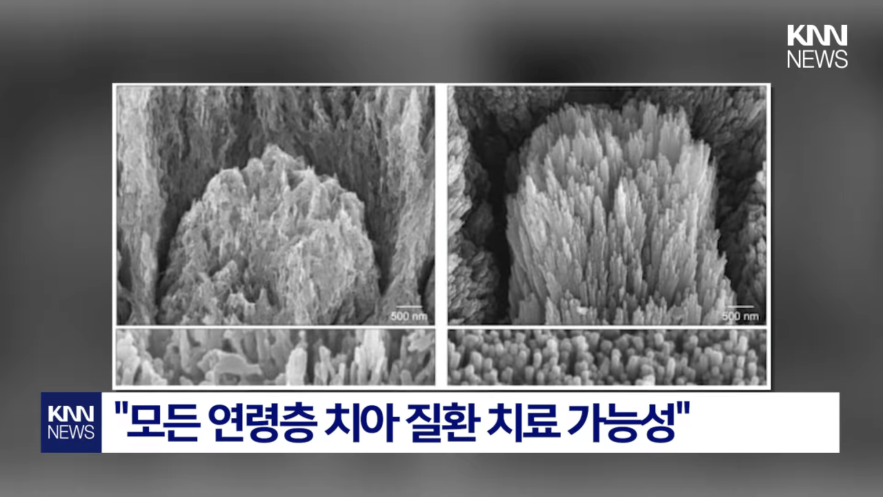 이과-형들-근황.jpg-4-이미지