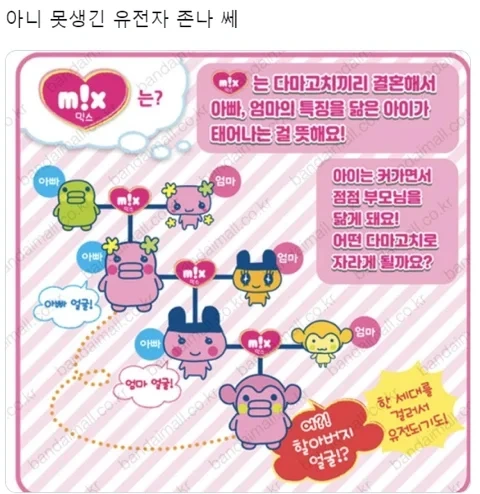 못생긴-유전자-악랄한-거-봐-4-이미지